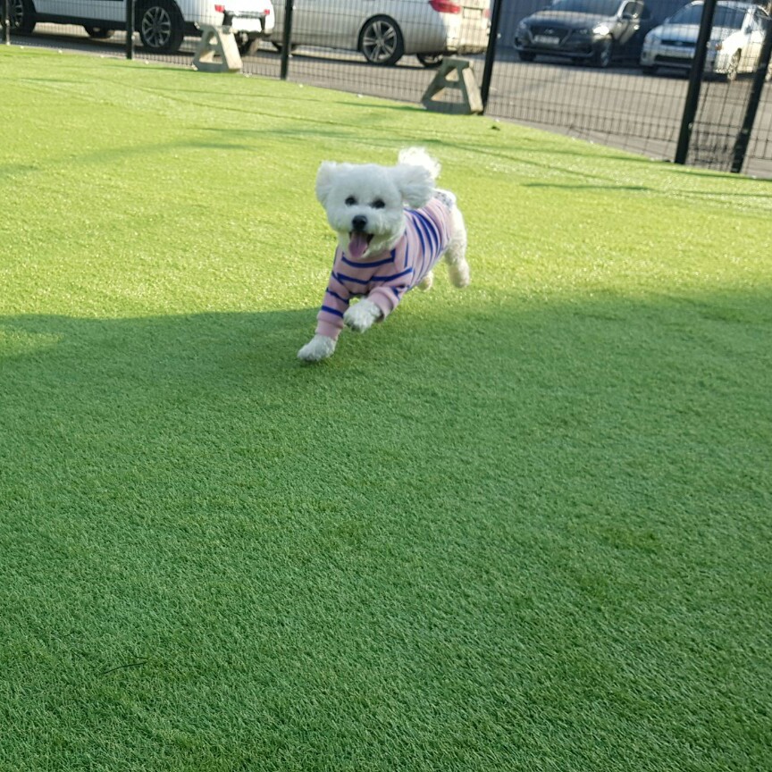 써슈케 프로필