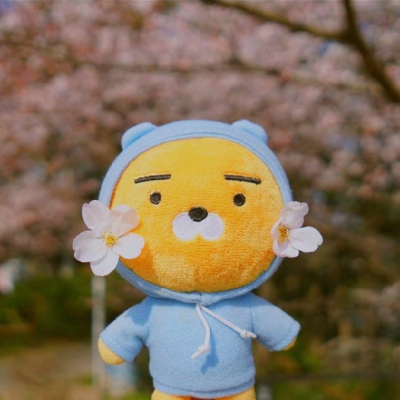 #현희 프로필