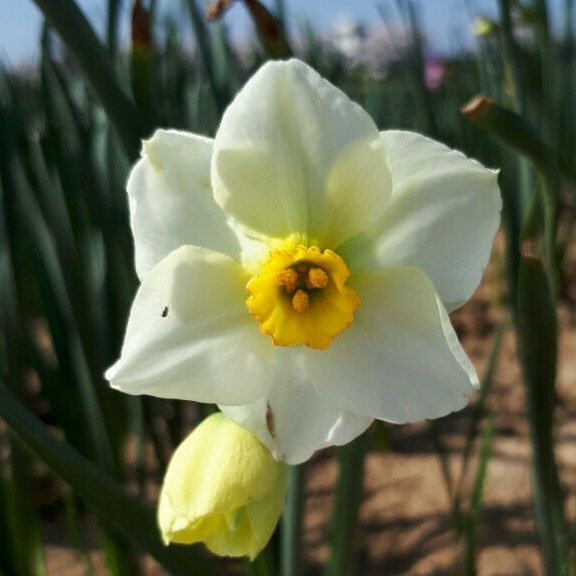 uj8472 프로필