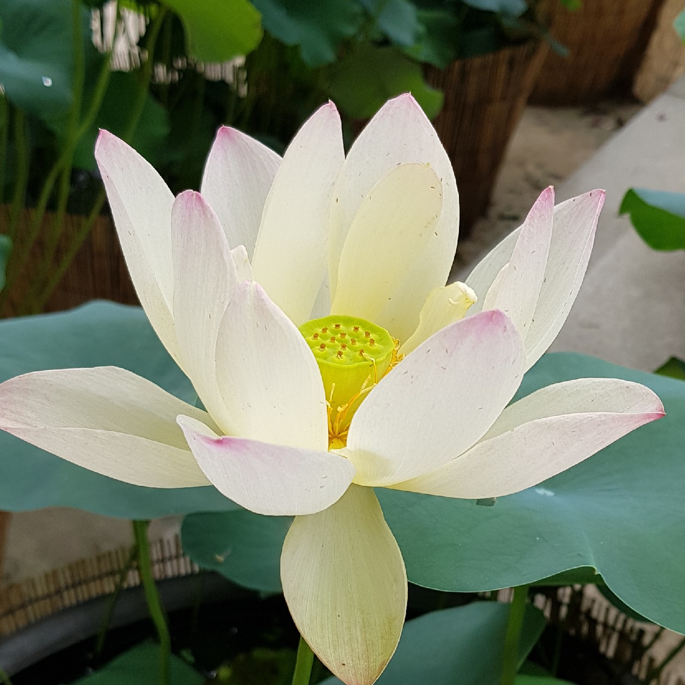 리뷰어 프로필