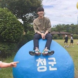 wjswjdtnt 프로필