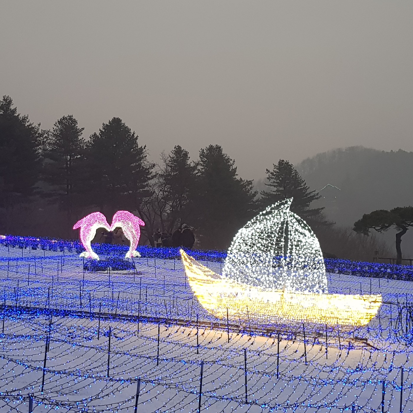 코나12 프로필