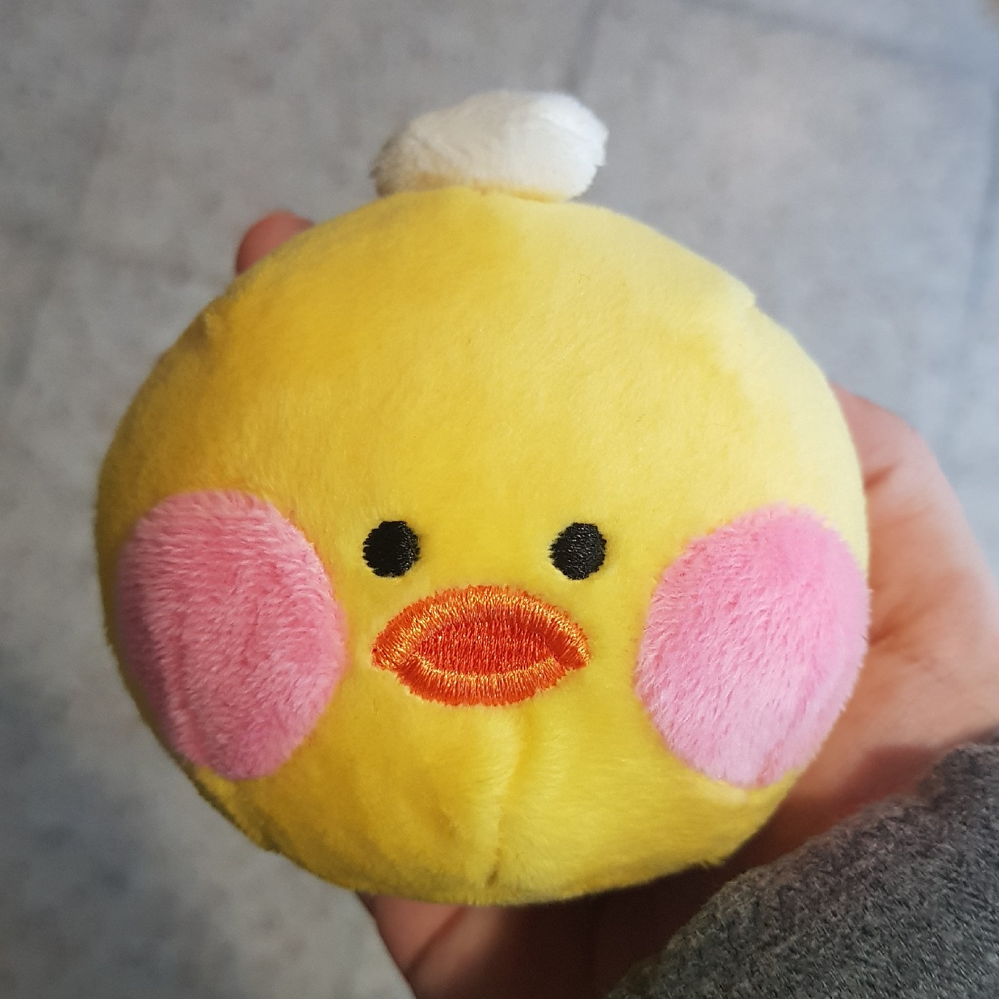 doooolly 프로필