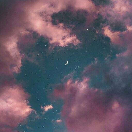 리뷰어 프로필