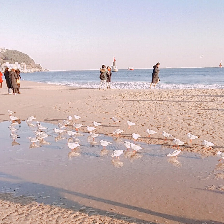 리뷰어 프로필