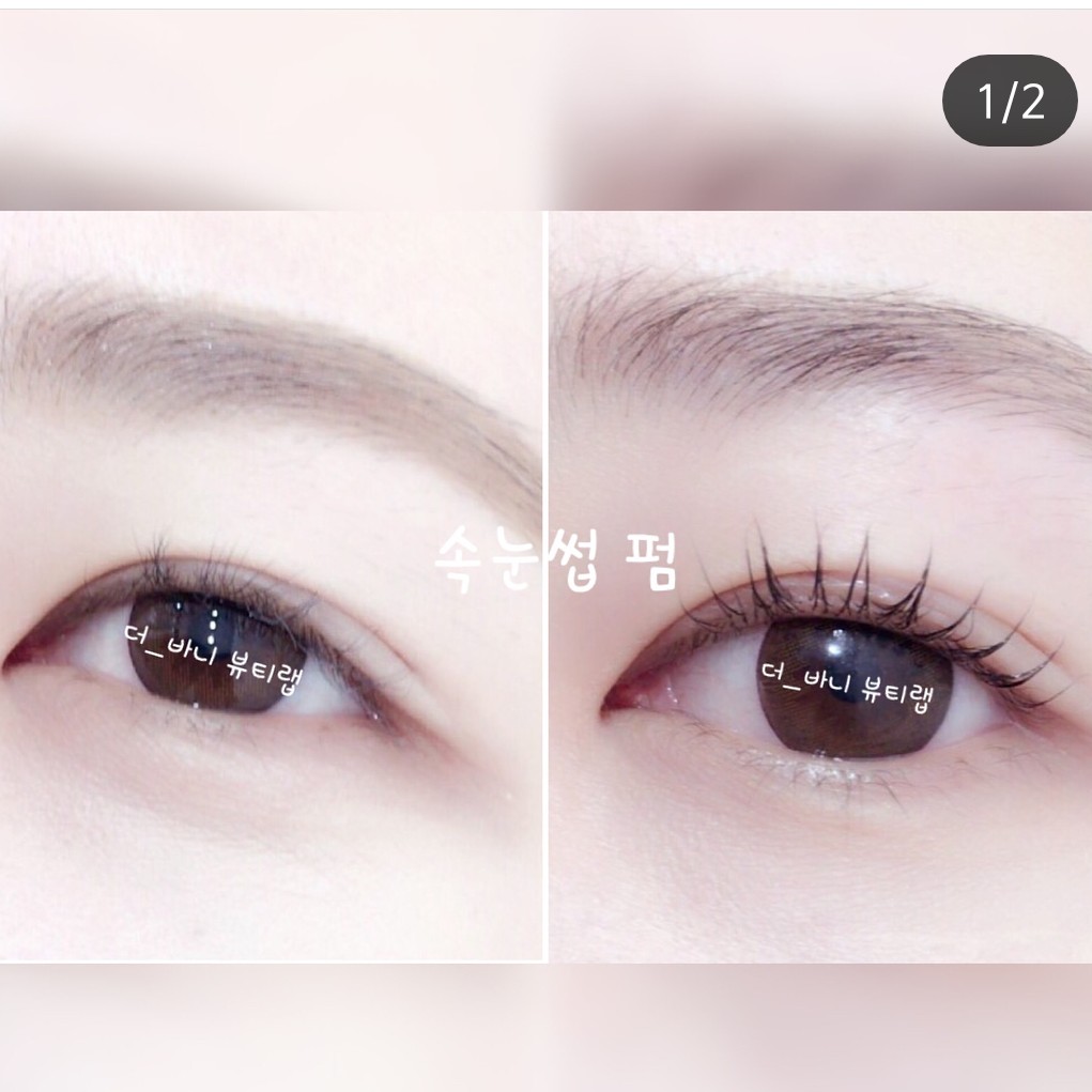 tree.soo 프로필