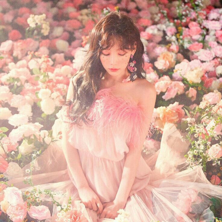 피자보다치킨 프로필