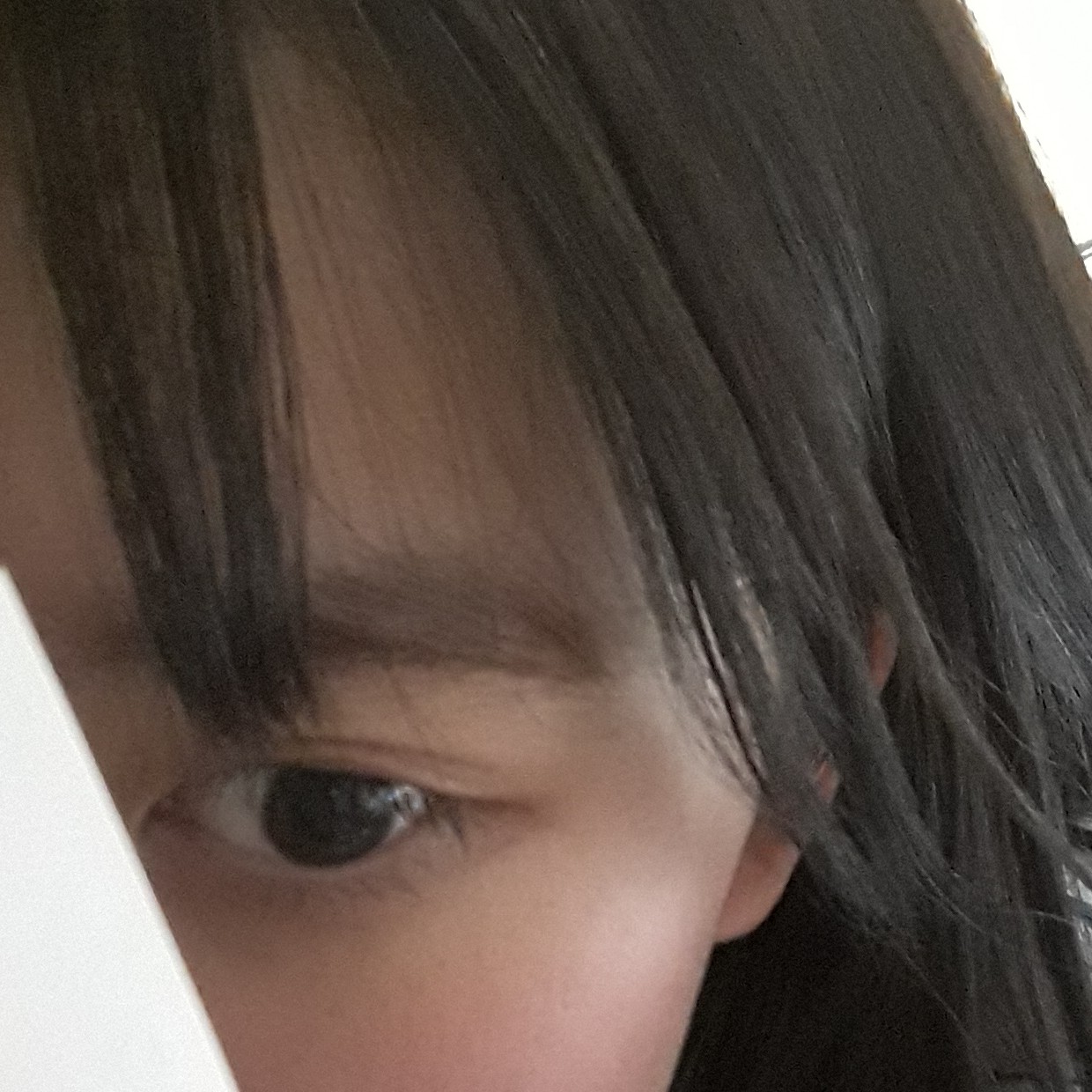 이엽쇼 프로필