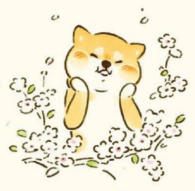 얼굴의방정식 프로필