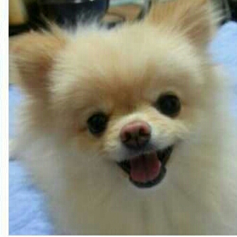 은갱구 프로필