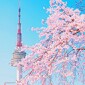 리뷰어 프로필