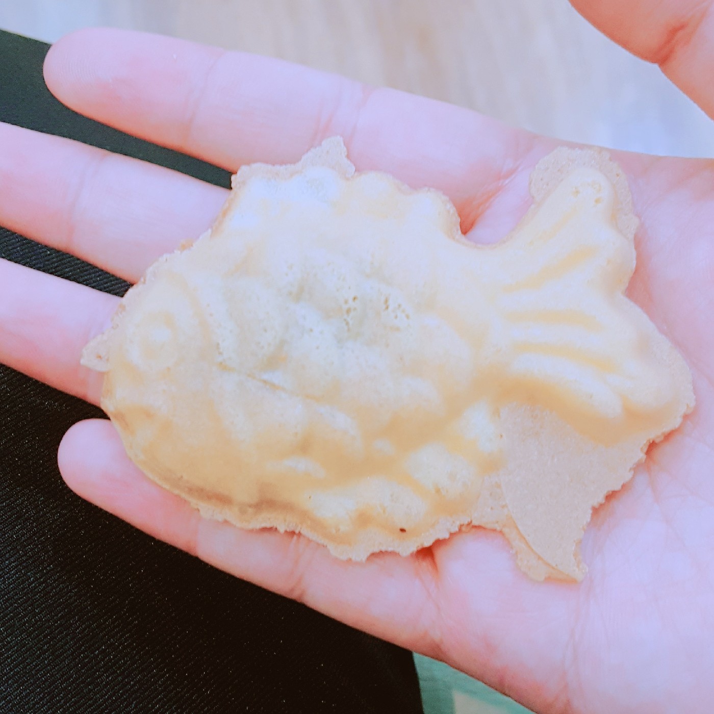 wloo 프로필