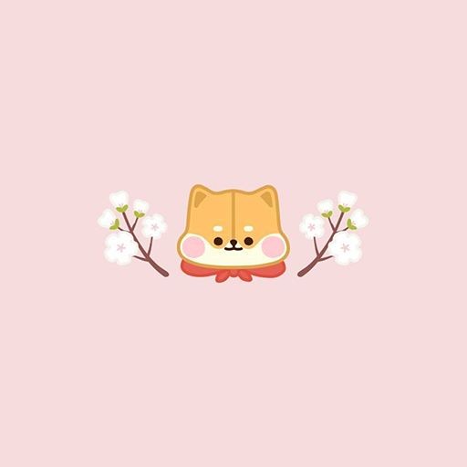 똥강아지멍멍 프로필