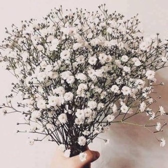 :뜌뜌: 프로필