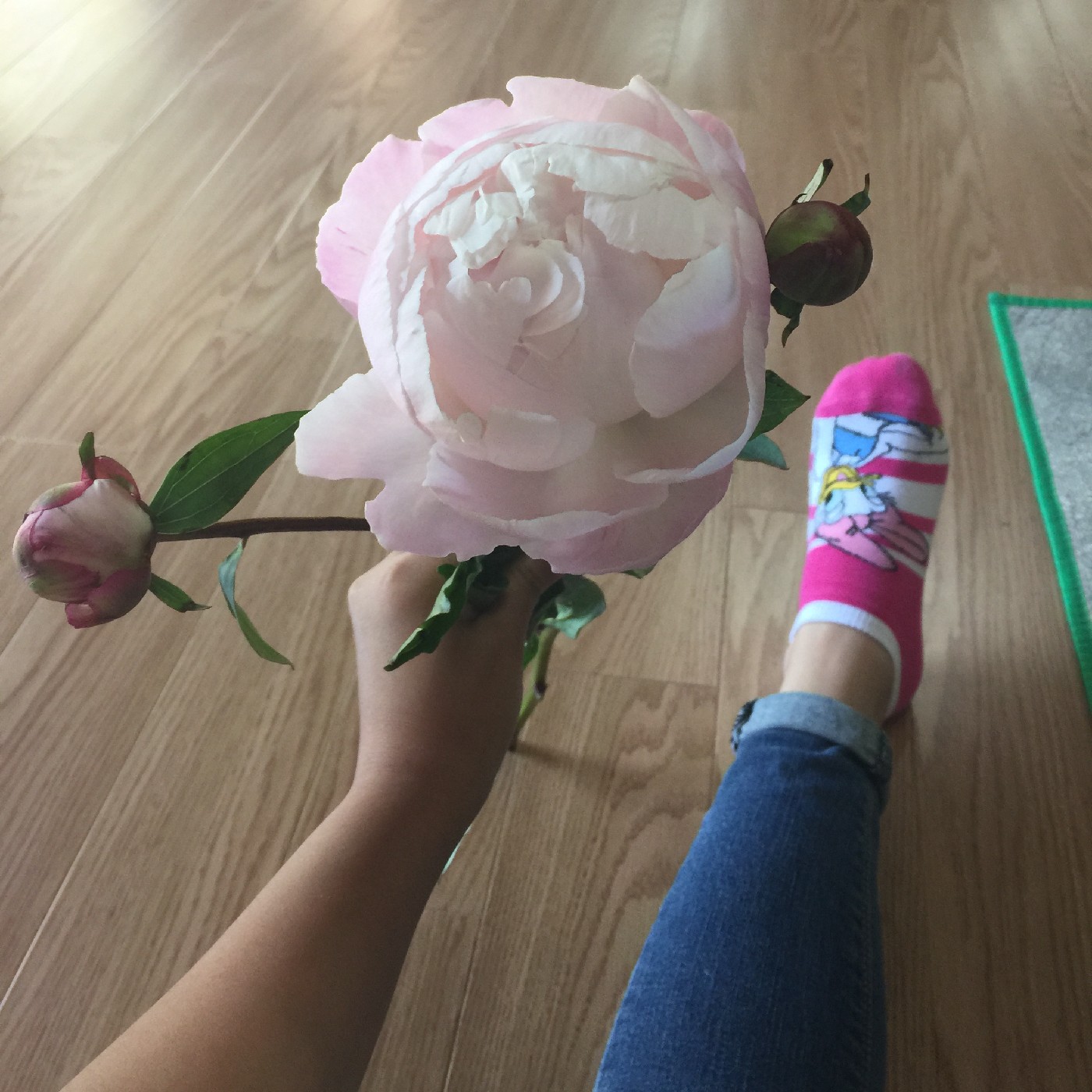 꼬붘 프로필