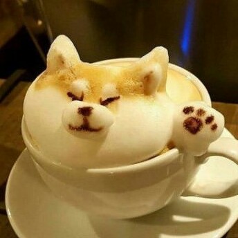 리뷰어 프로필