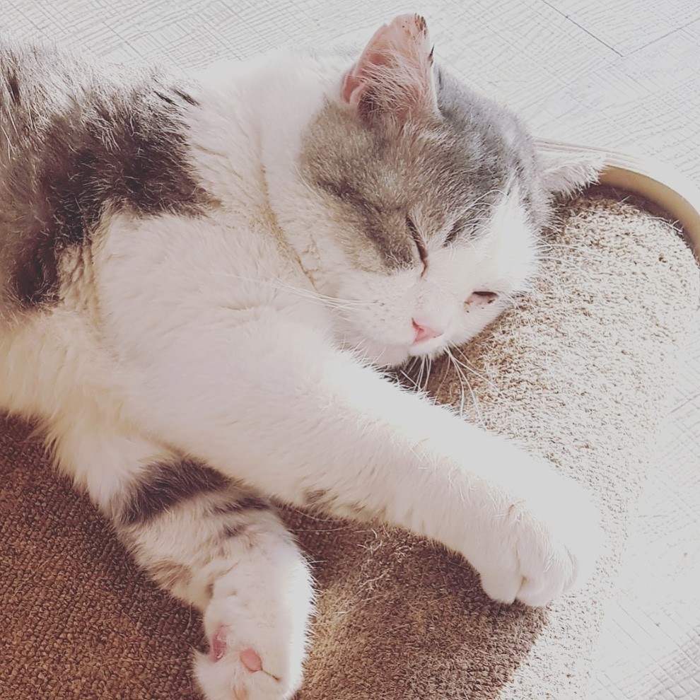 연정02 프로필