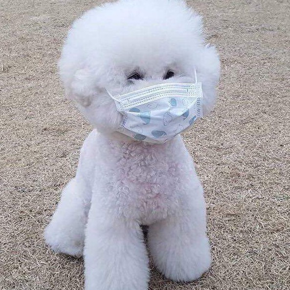 귤귤! 프로필