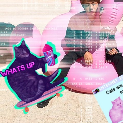 두부가조타 프로필