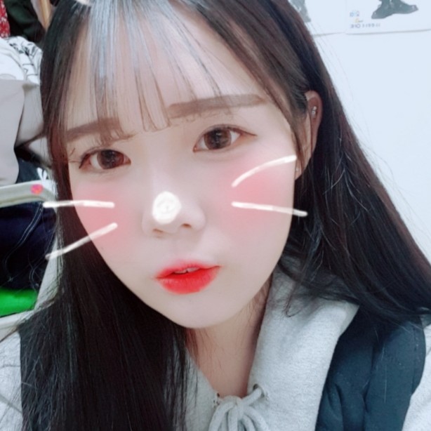 수영쨩 프로필