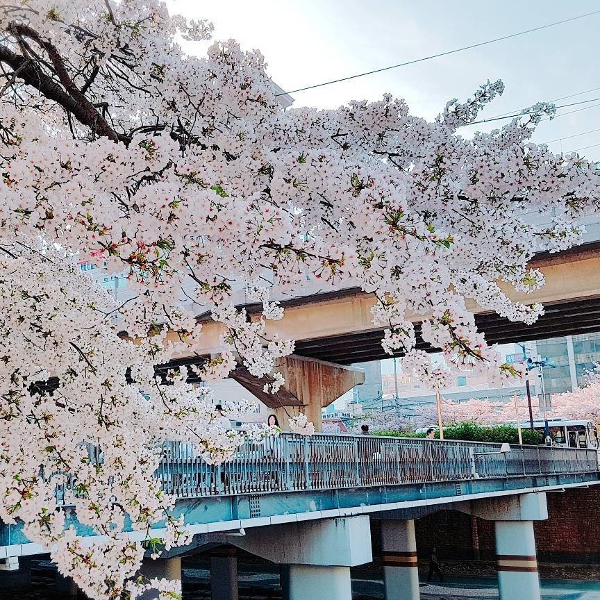 지미짐 프로필