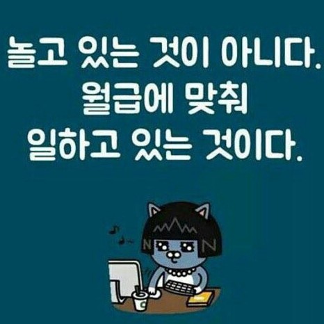 화창한봄날들 프로필