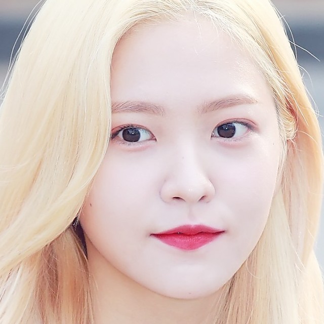 mysj 프로필
