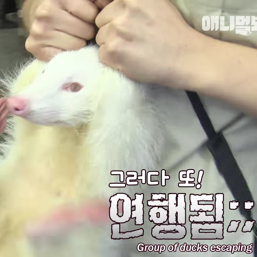 크림브런치 프로필