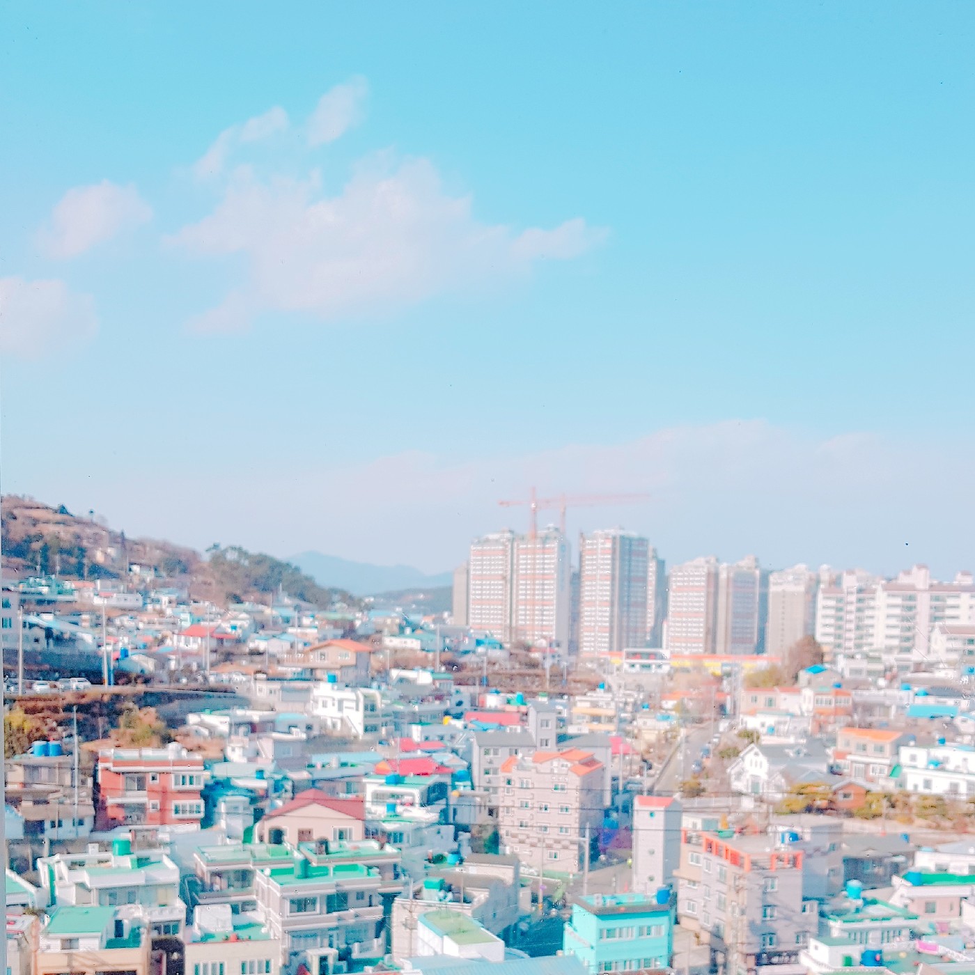 양스펀지밥 프로필