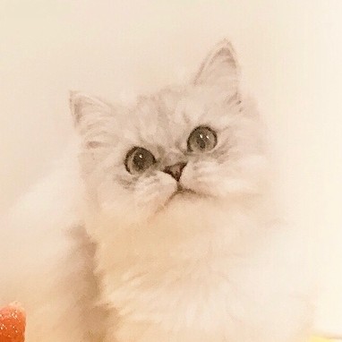 졍201 프로필