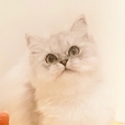 졍201
