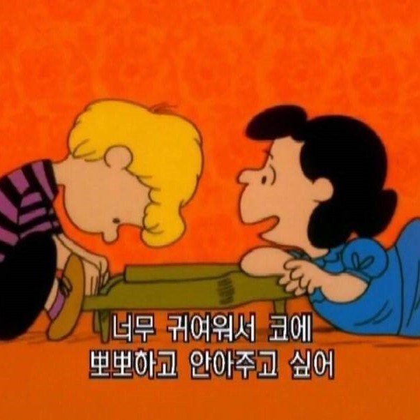 세훈이내꺼 프로필