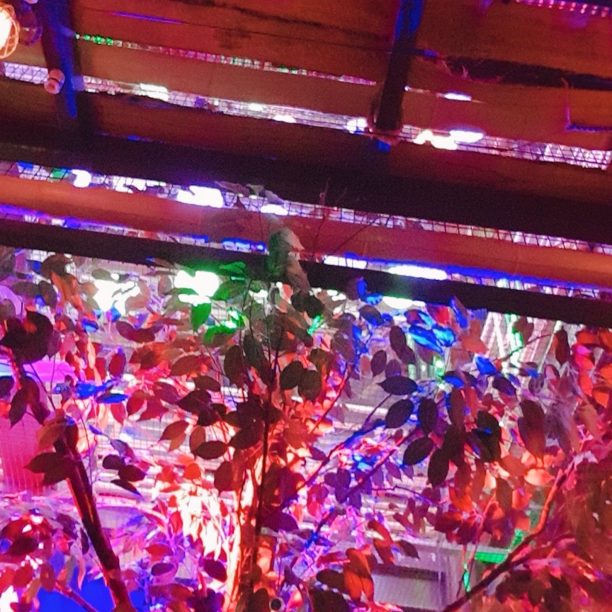 연테 프로필