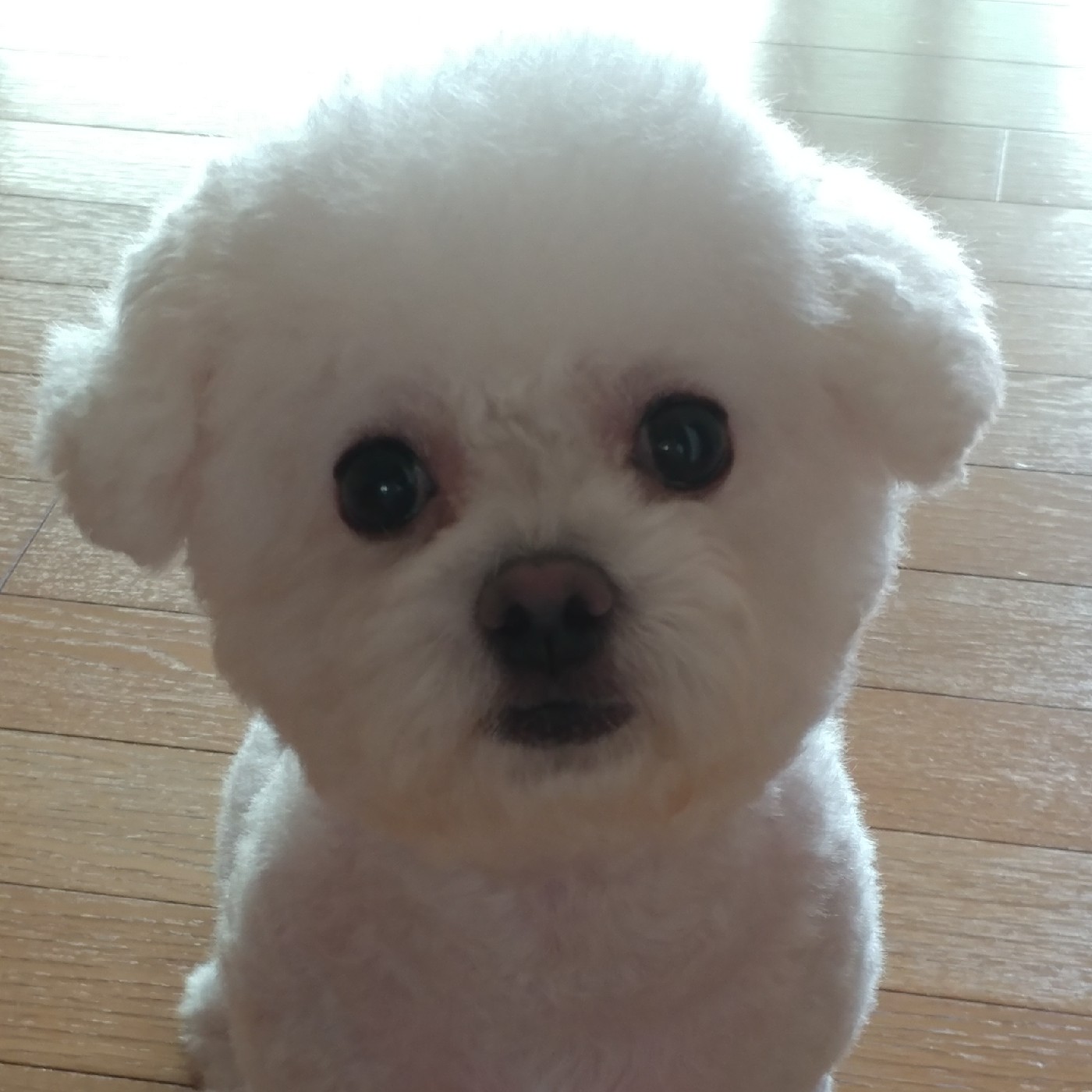 jjheim 프로필