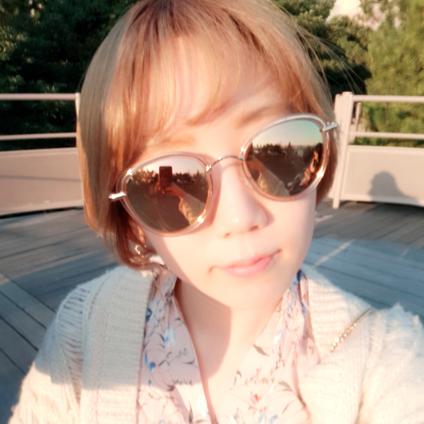 비비더프 프로필