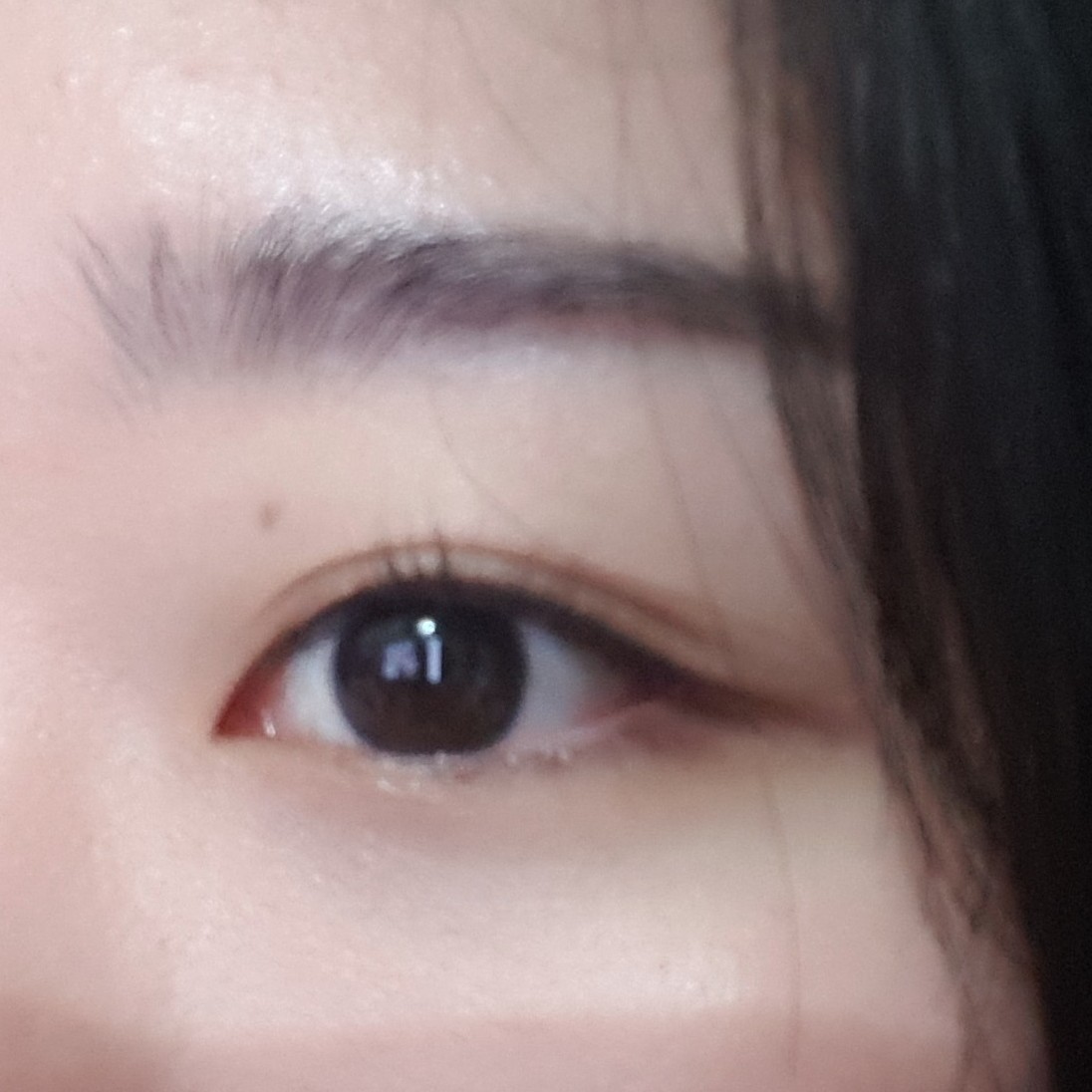 고양있 프로필