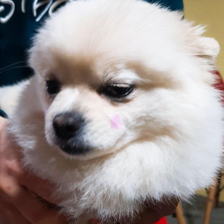 미유S2 프로필