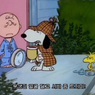 체링디 프로필