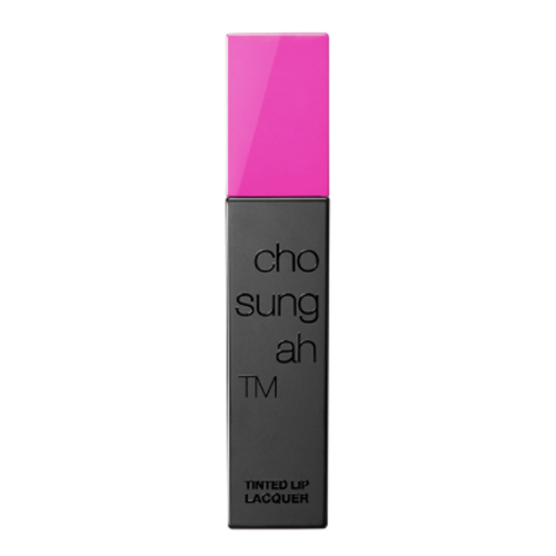틴티드 립 라커