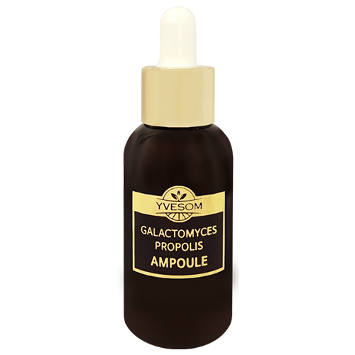 입솜 브랜드의 제품 갈락토미세스 프로폴리스 앰플