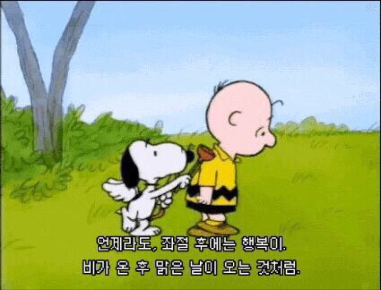 옐미업 프로필