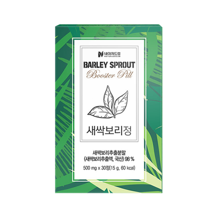 새싹보리 정