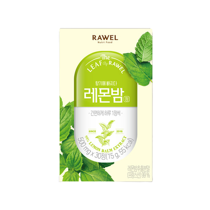 레몬밤 정