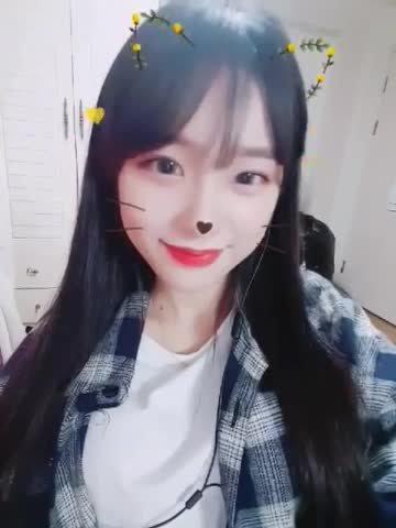 렌즈사러 프로필