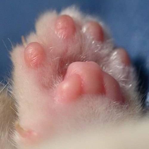 영이24 프로필