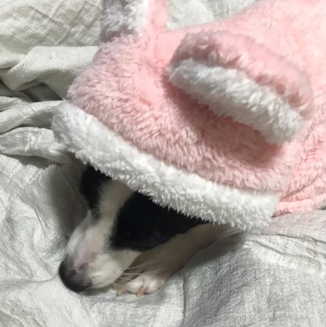 예쥥 프로필