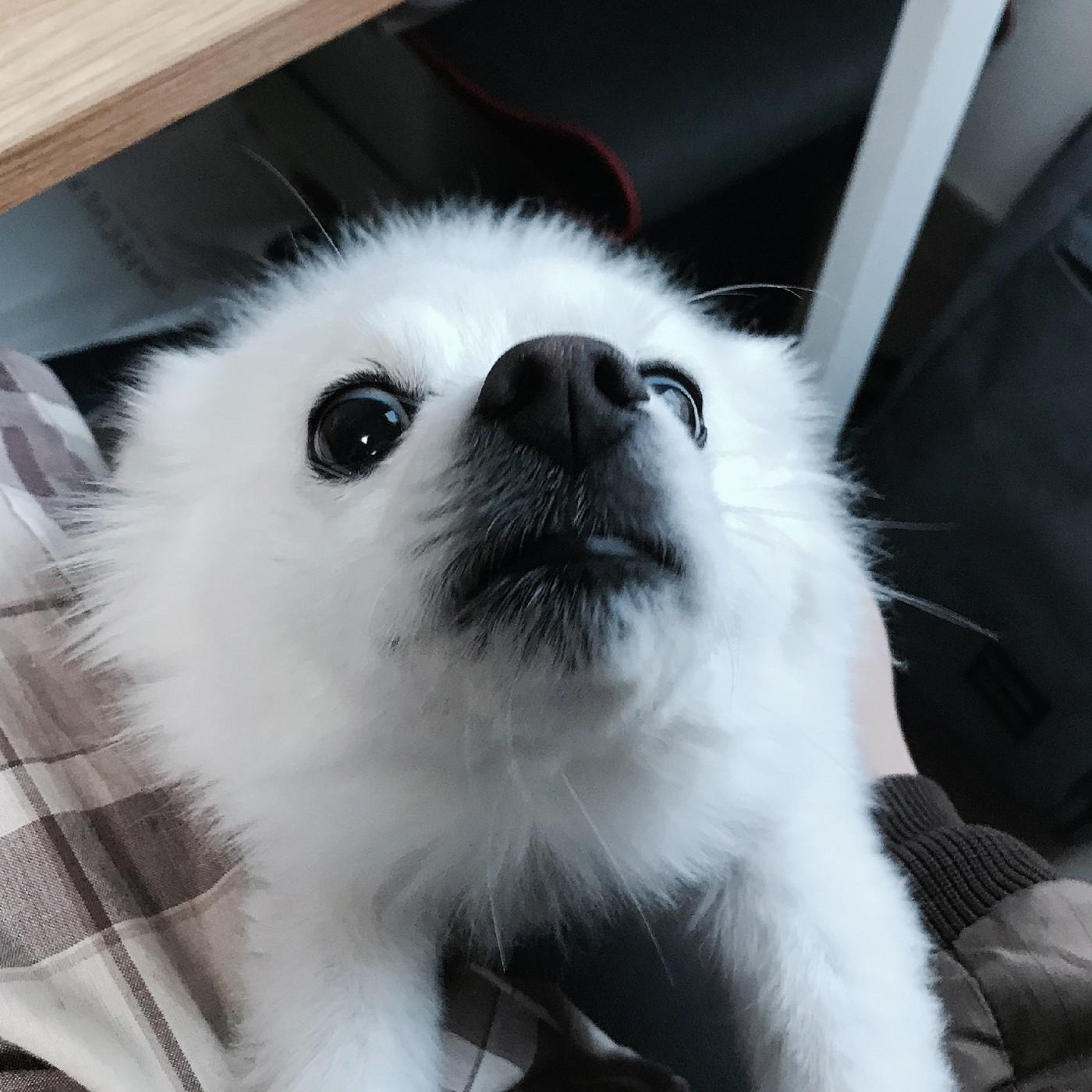 항정살맨 프로필