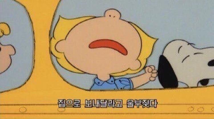 민공주님 프로필
