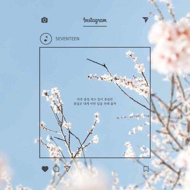 화장초보은 프로필