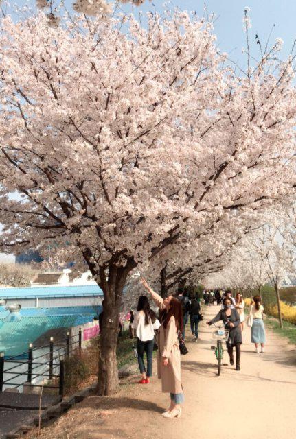 한키리 프로필